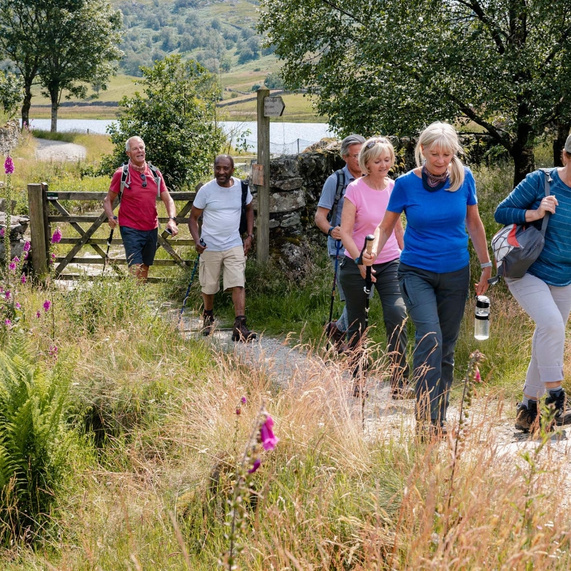 Group of people on a guided hike