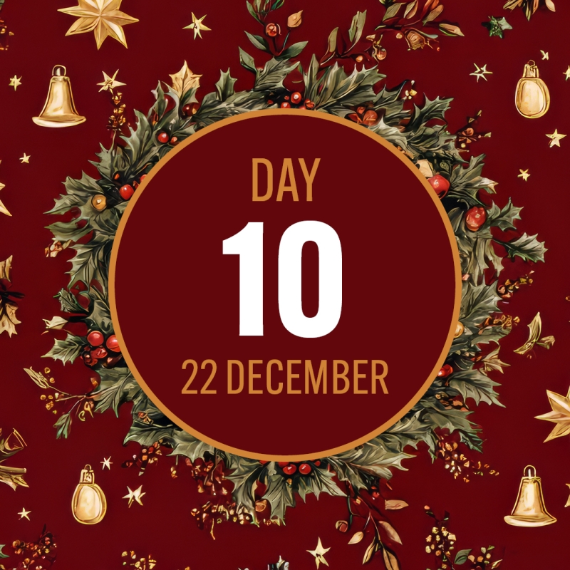 day 10