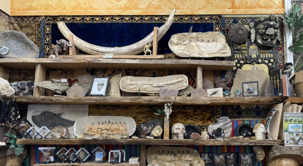 collection of fossils and trinkets for sale