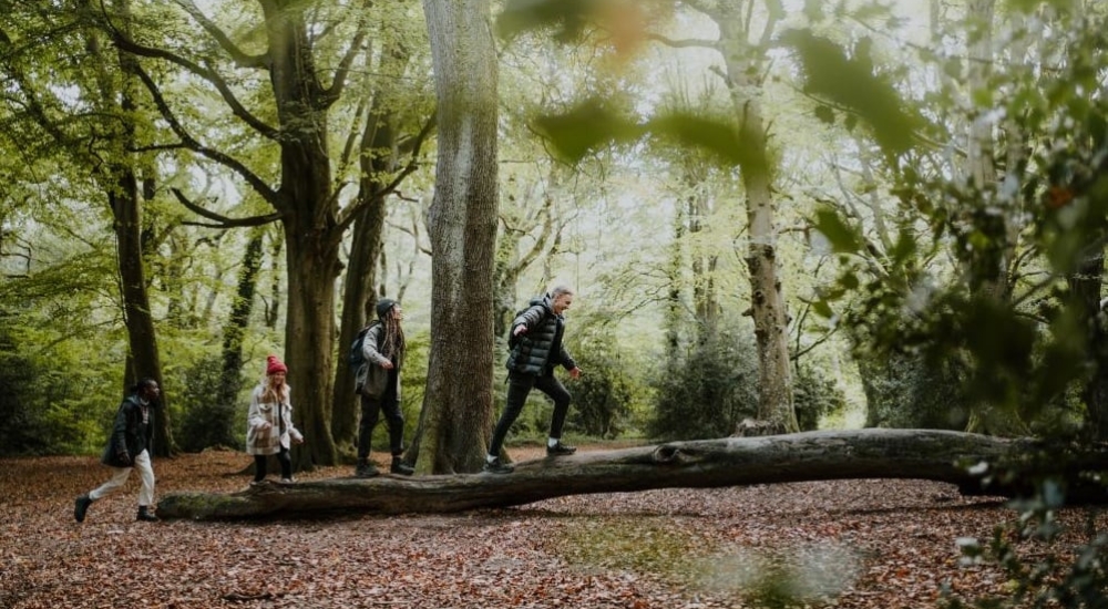 people walking in the woods