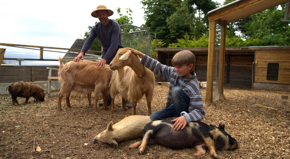 a child playing with farmyard animals