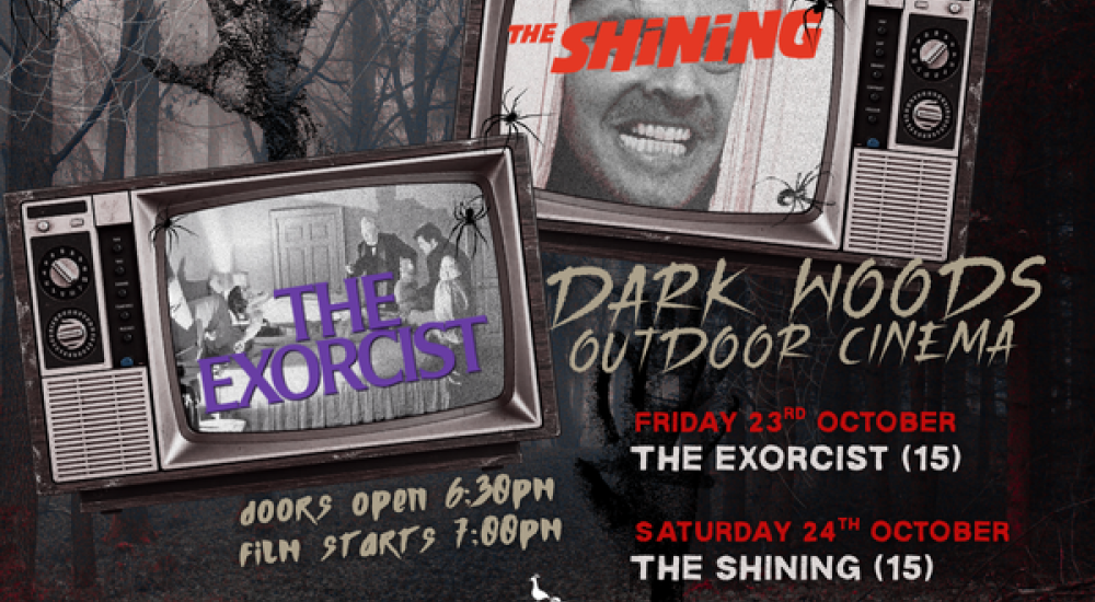 darkwoods cinema landscape.png