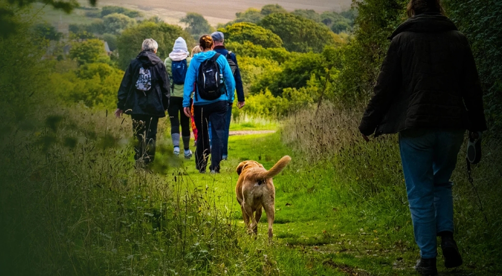 a group of people in walking gear with a labrador dog following 