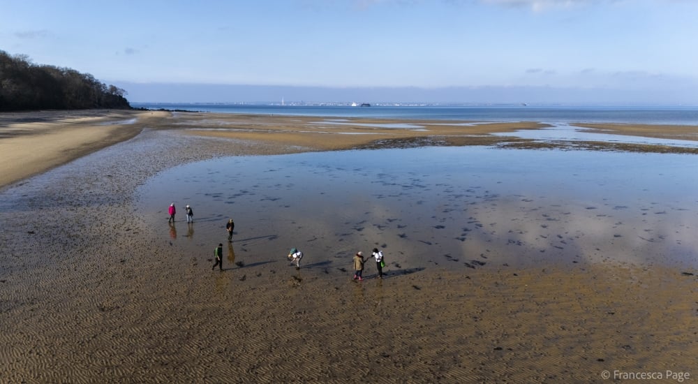 aerial shot of st helens beach