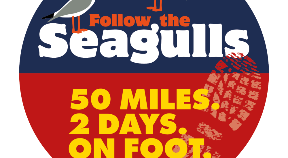 Follow the Seagulls