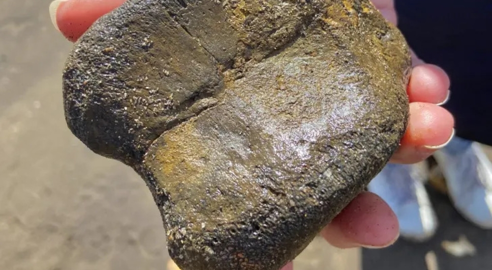 fossil walks