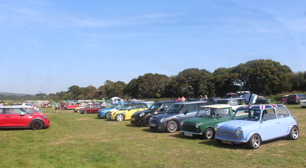 minis lined up in a field with blue sky