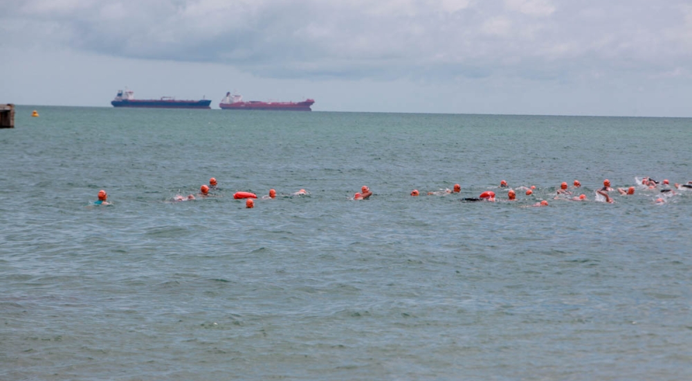 swimmers at sea