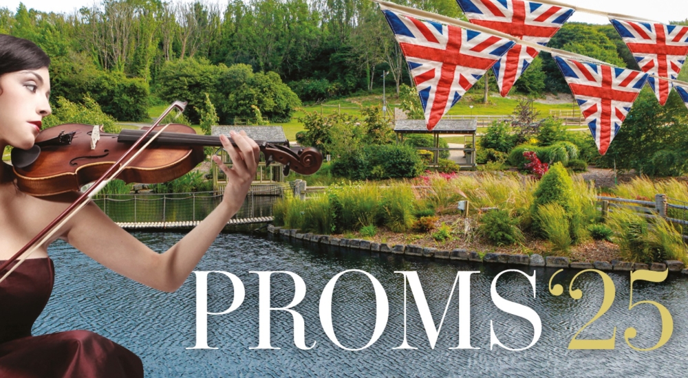 proms 25 event poster featuring a female violinist 