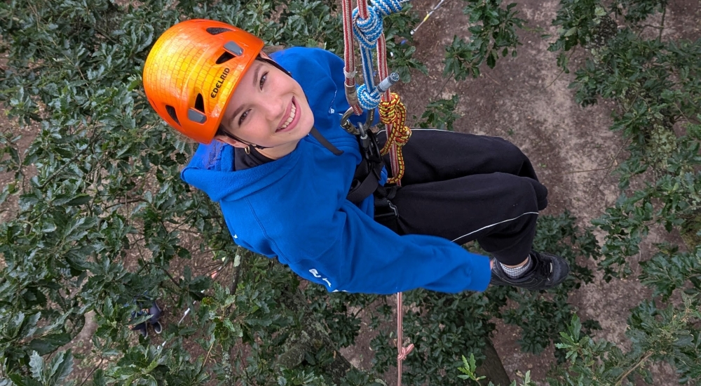 child climbing in tree