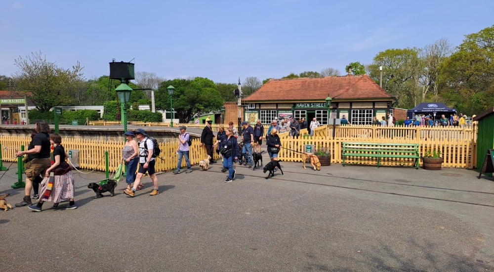 RSPCA at Havenstreet