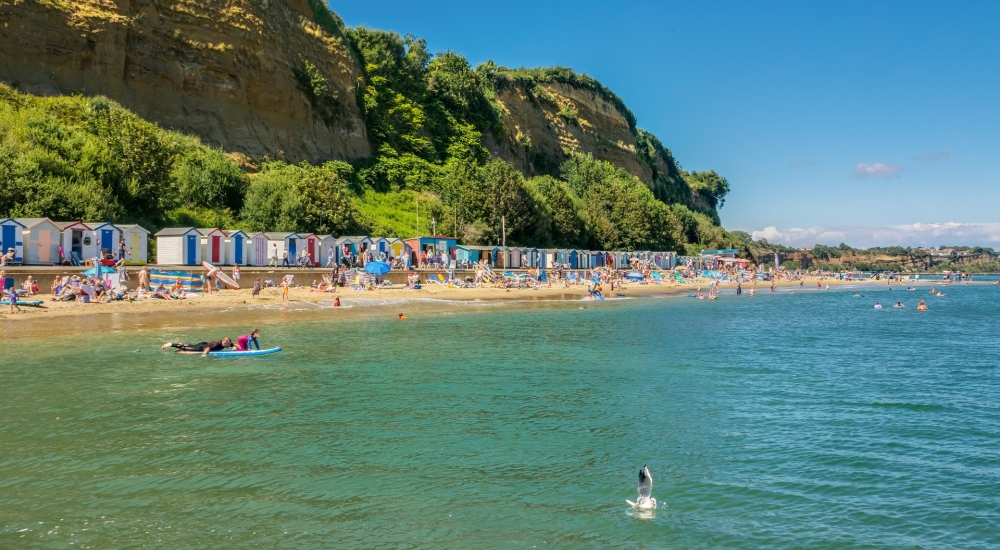 shanklin beach