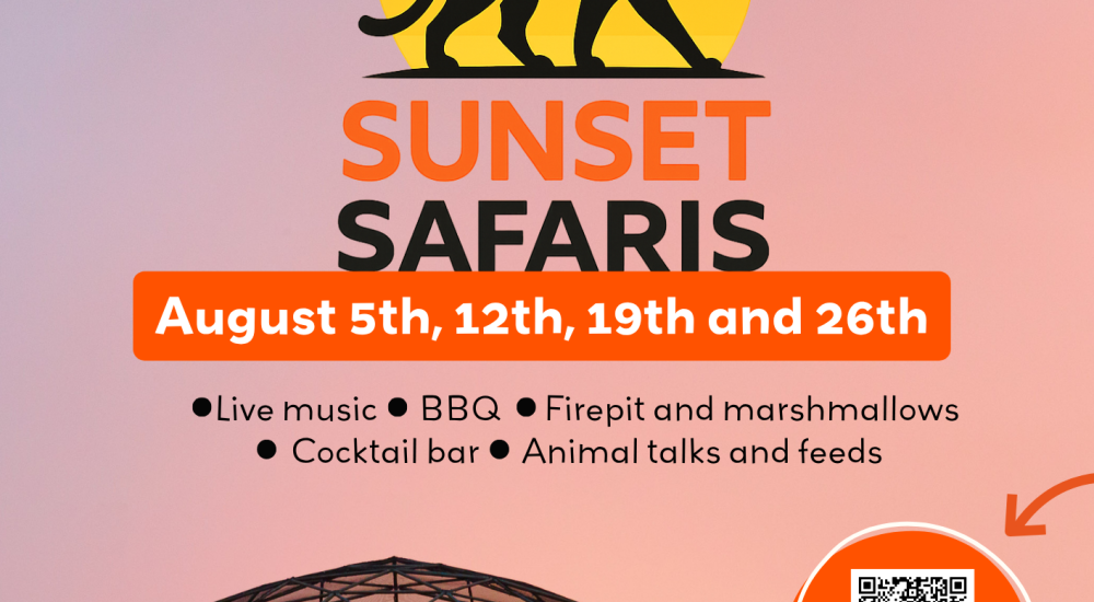 Sunset Safari - Wildheart Animal Sanctuary