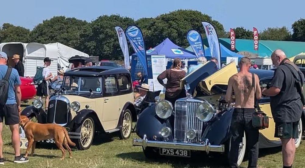 Auto-Fest